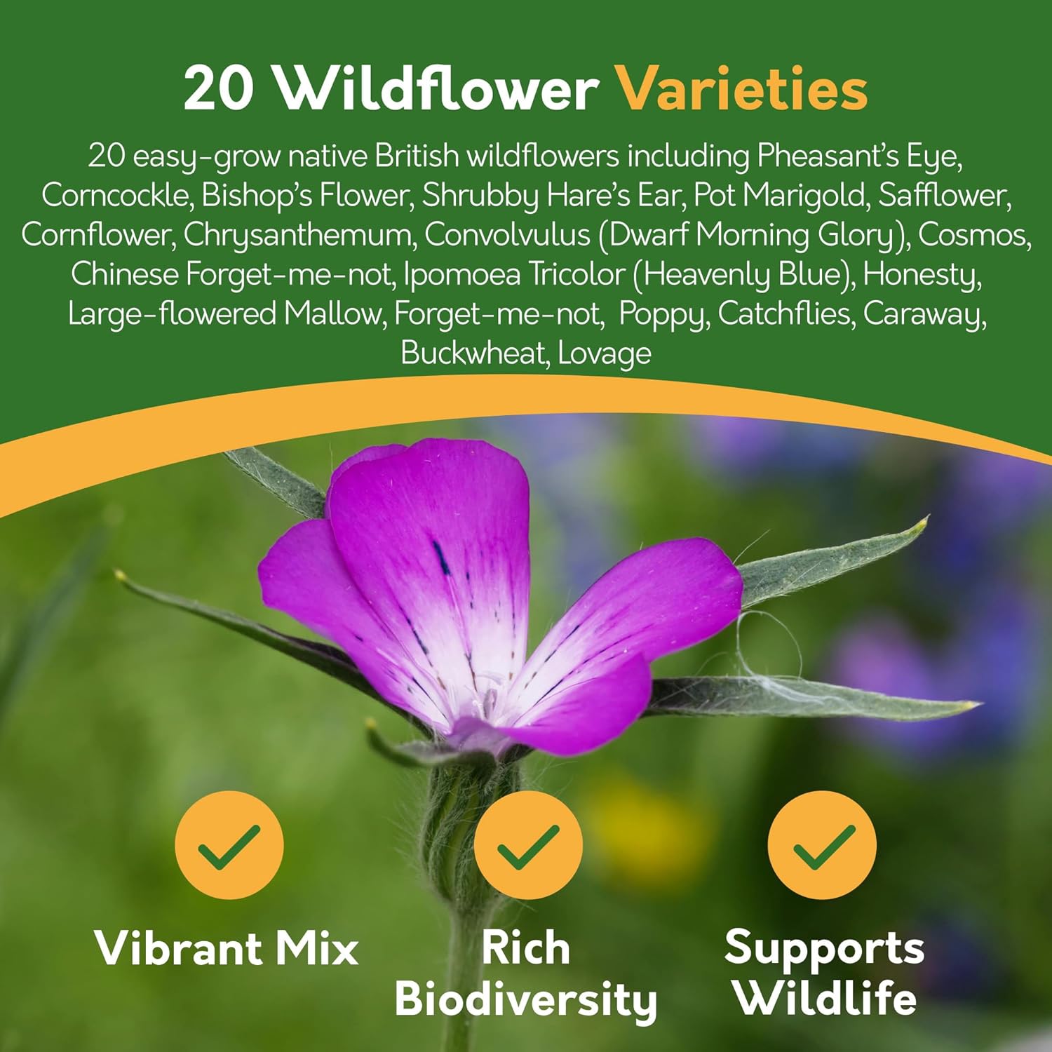 Wildflower Seed Mix – 100g | Pure UK Native Flower Seeds