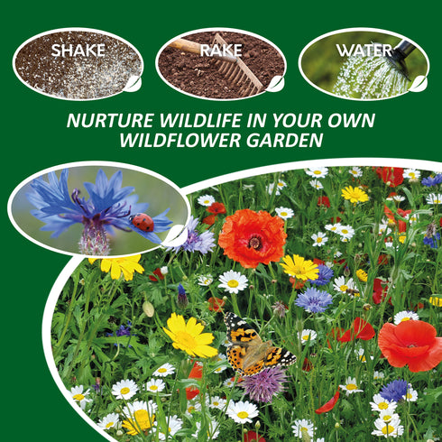 Wildflower Seeds - Pure Wild Flower Seed Mix 100g