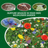 Wildflower Seeds - Pure Wild Flower Seed Mix 100g