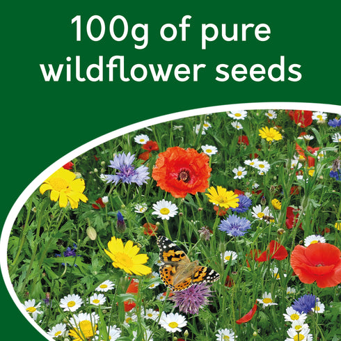 Wildflower Seeds - Pure Wild Flower Seed Mix 100g