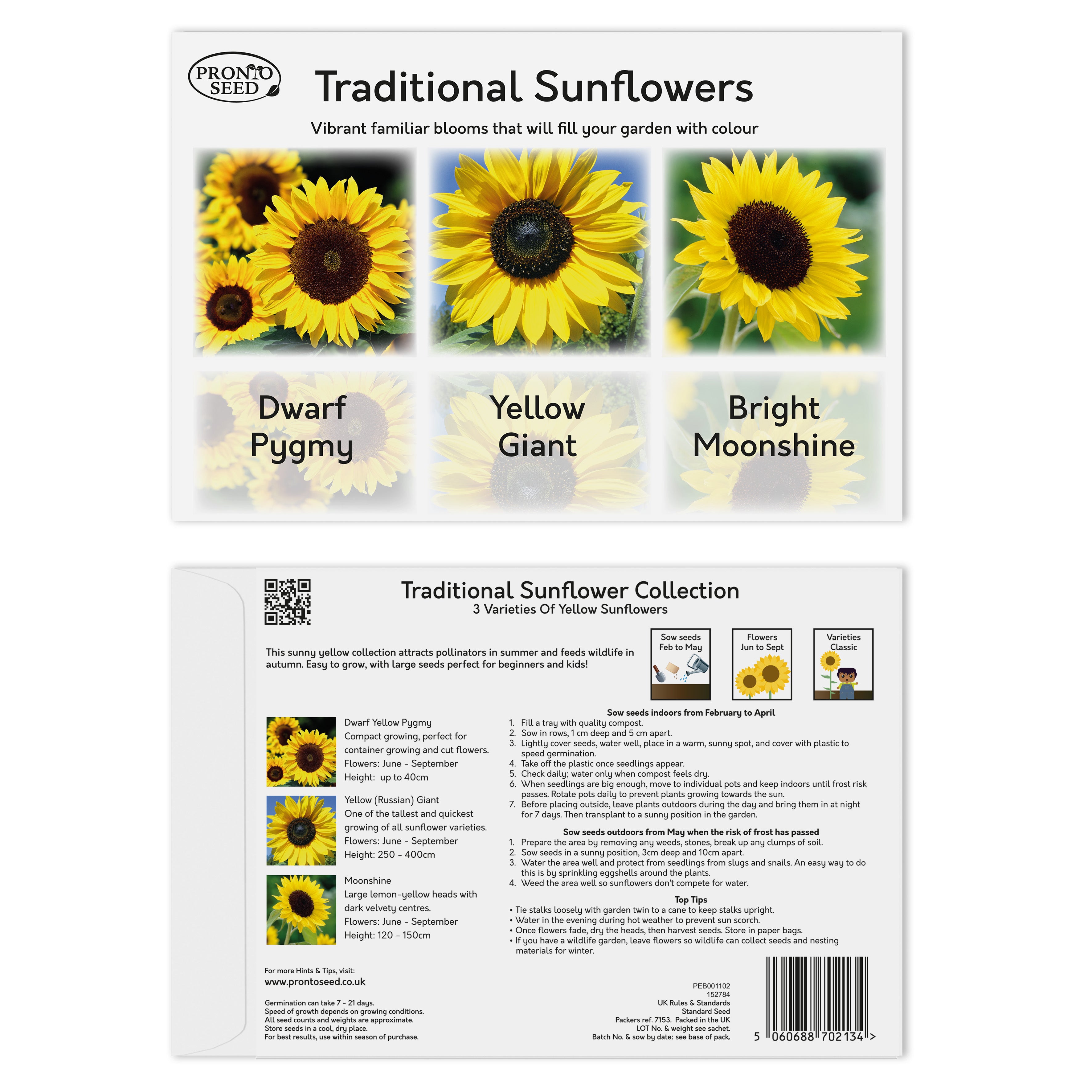 Sunflower Seeds – 6 Varieties for Gardens & Pots