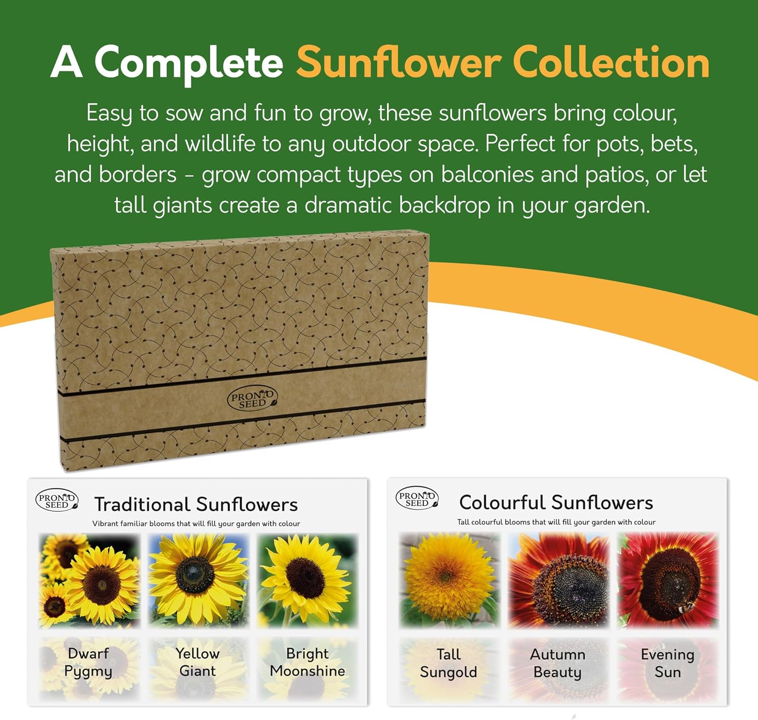 Sunflower Seeds – 6 Varieties for Gardens & Pots