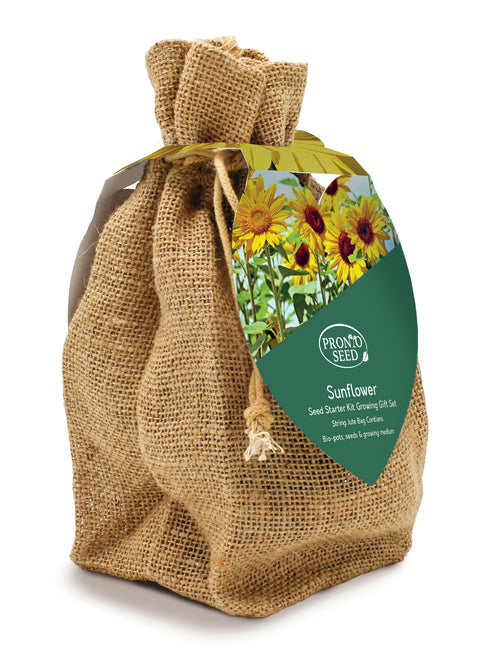 Sunflower Starter Kit in Jute Bag