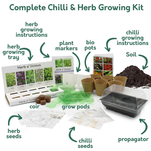 Red Hot Chilli Kit and Pronto Seed Herba'licious Eco Kit