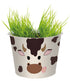 Grass Head Grow Pots - Mixed Pack of 36 (Snappy Crocodile, Daisy the Cow, Rory the Tiger, and Chester the Horse)
