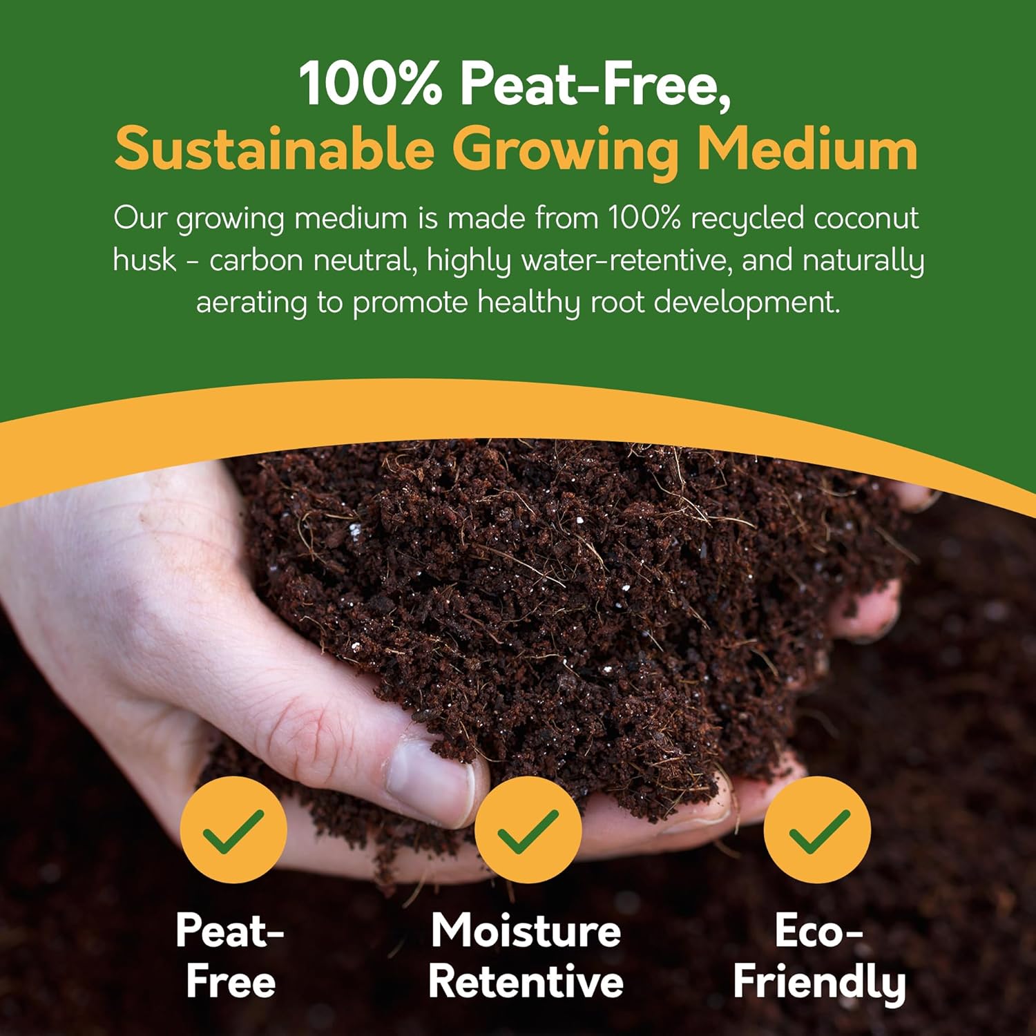 Grow Your Own Bonsai Tree Kit – 5 Seed Varieties | Botanical Bonsai Grow Kit