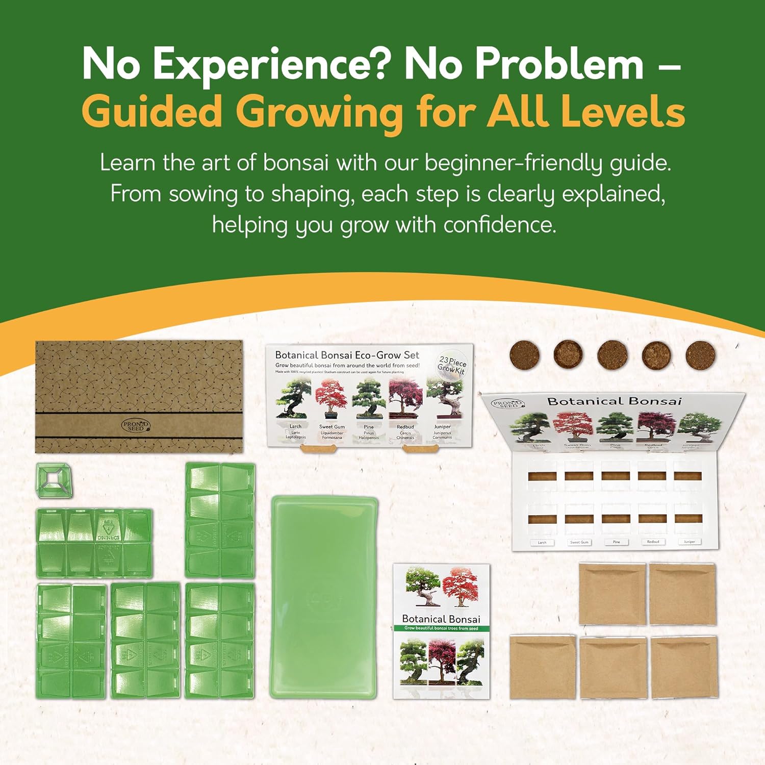 Grow Your Own Bonsai Tree Kit – 5 Seed Varieties | Botanical Bonsai Grow Kit