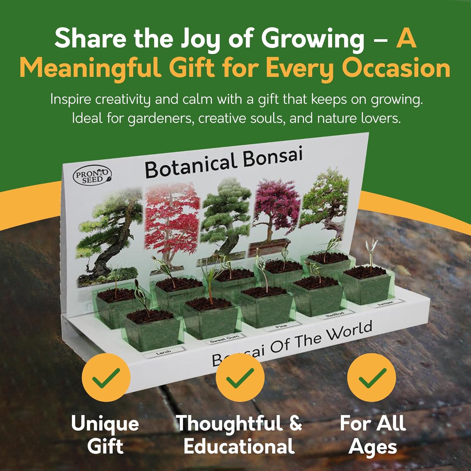Grow Your Own Bonsai Tree Kit – 5 Seed Varieties | Botanical Bonsai Grow Kit
