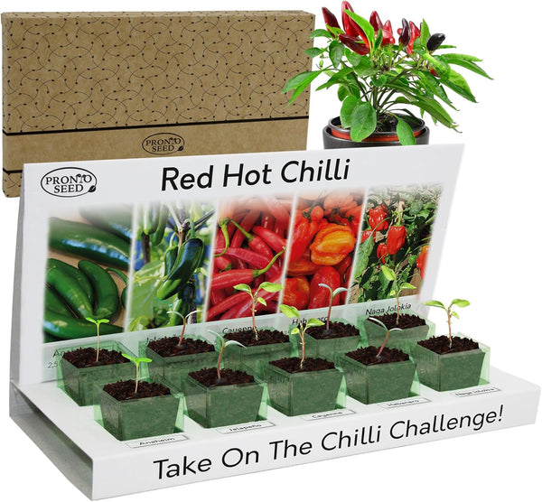 Grow Your Own Chilli Kit – 5 Seed Varieties | Red Hot Chilli Grow Kit