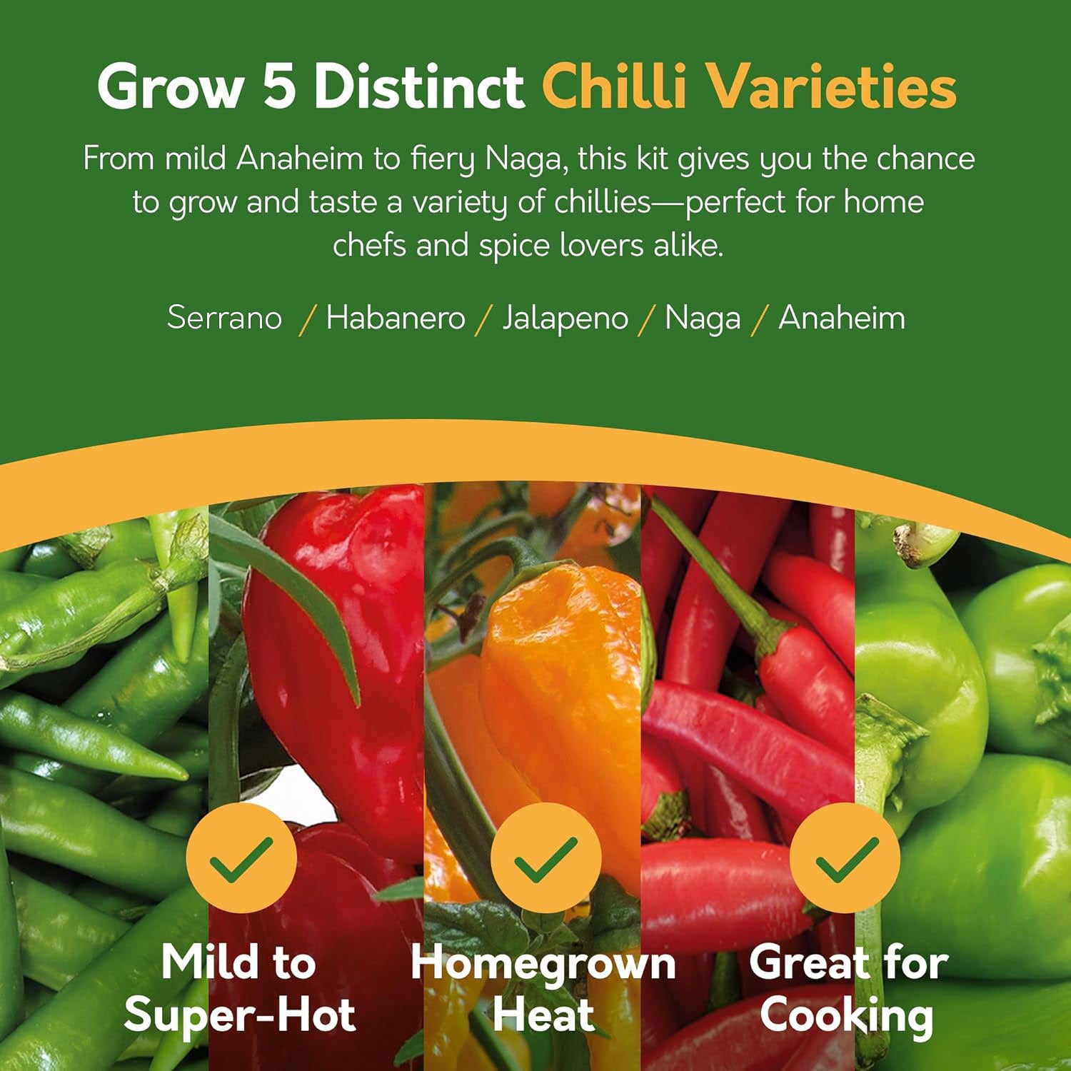 Grow Your Own Chilli Kit – 5 Seed Varieties | Red Hot Chilli Grow Kit