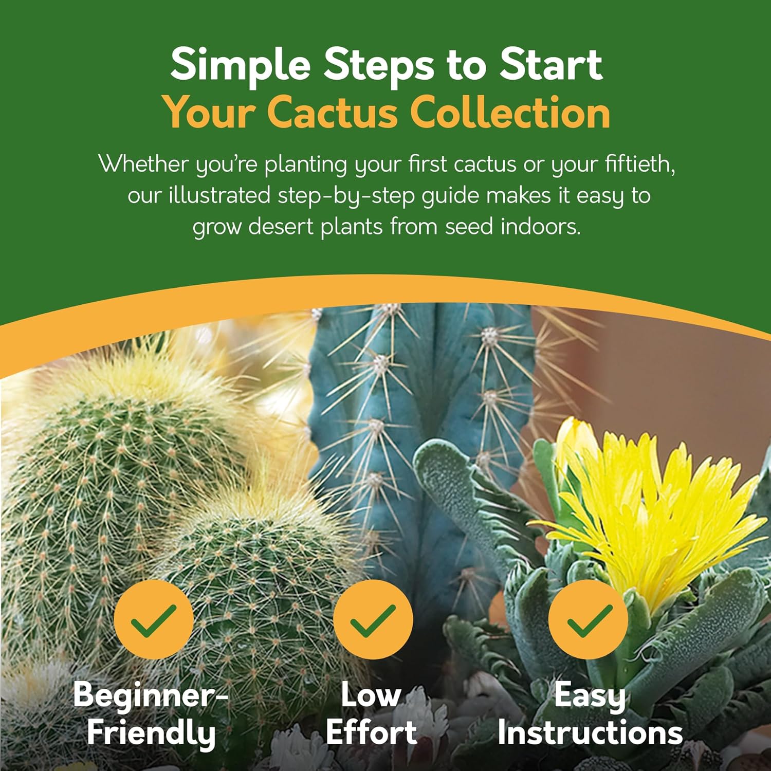 Grow Your Own Cactus Kit – 5 Seed Varieties | Spiky Cactus Grow Kit