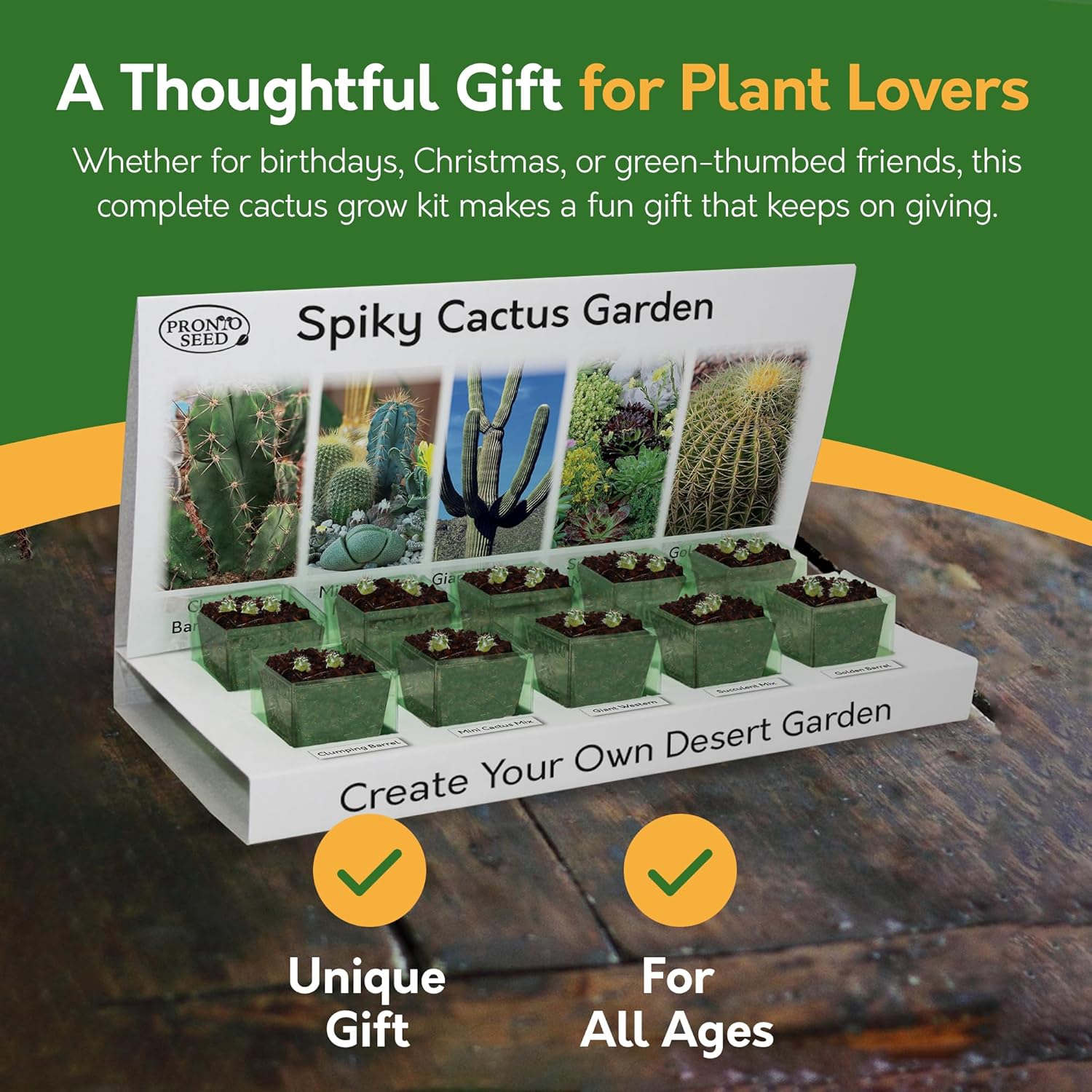 Grow Your Own Cactus Kit – 5 Seed Varieties | Spiky Cactus Grow Kit