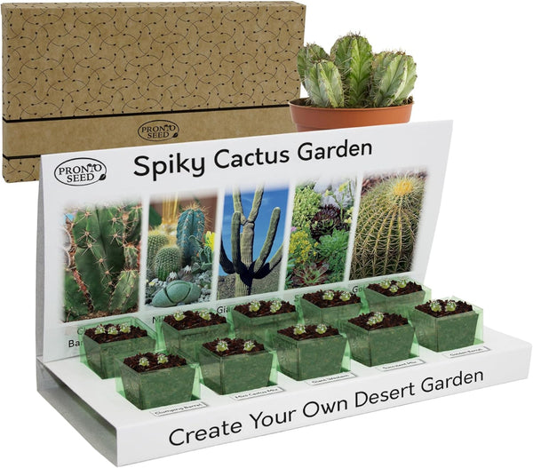 Grow Your Own Cactus Kit – 5 Seed Varieties | Spiky Cactus Grow Kit