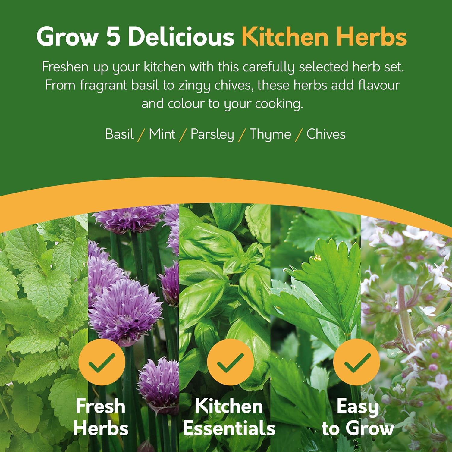 Grow Your Own Herbs Kit – 5 Seed Varieties | Kitchen Herb Grow Kit