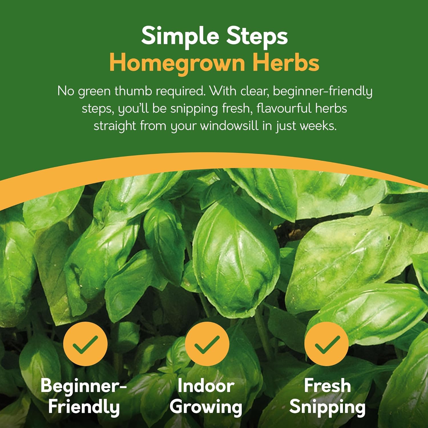 Grow Your Own Herbs Kit – 5 Seed Varieties | Kitchen Herb Grow Kit
