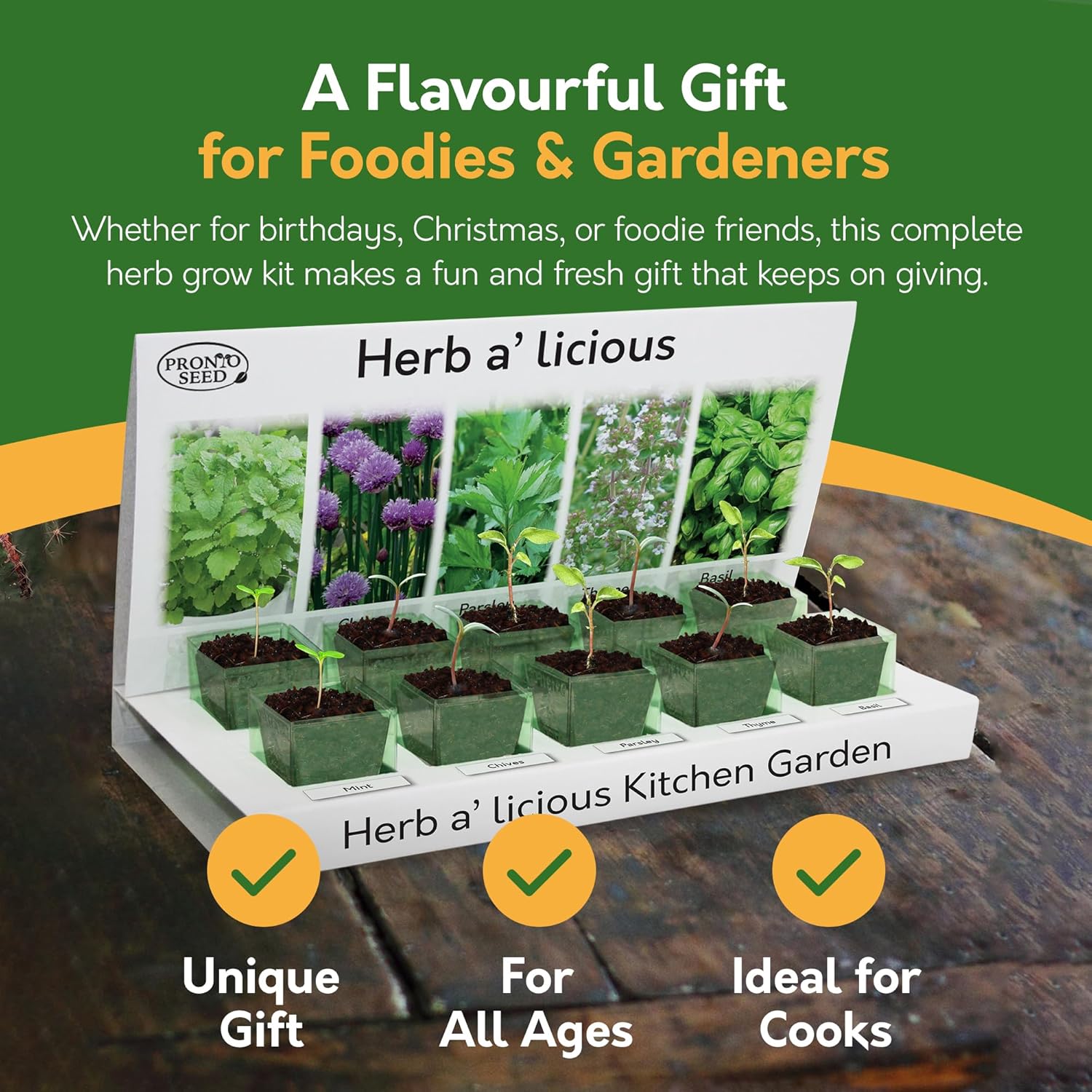 Grow Your Own Herbs Kit – 5 Seed Varieties | Kitchen Herb Grow Kit