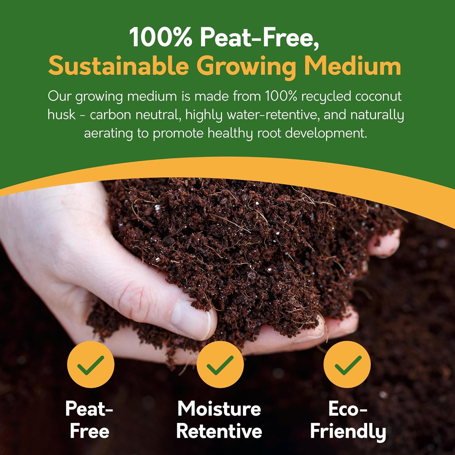 Grow Your Own Vegetable Kit – 5 Seed Varieties | Vegetable Grow Kit