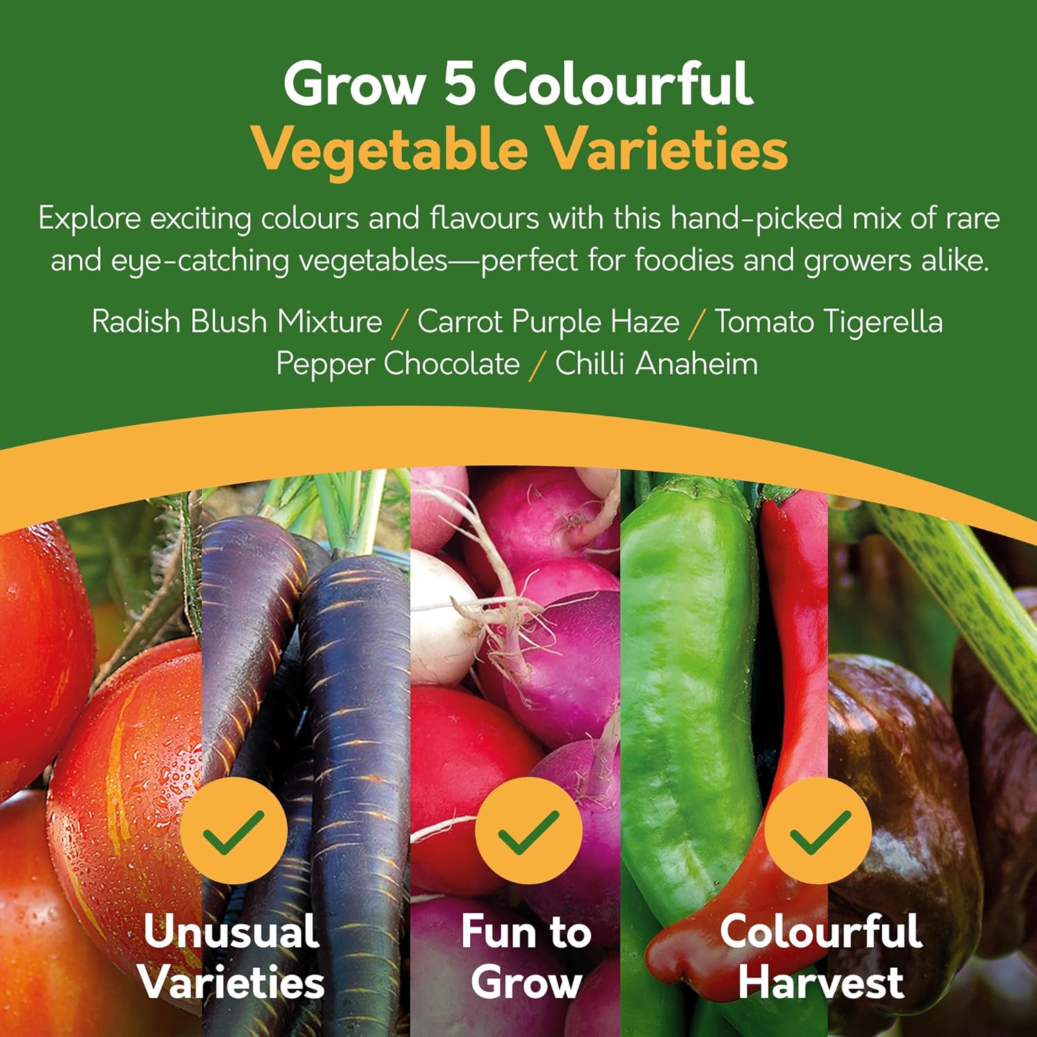 Grow Your Own Vegetable Kit – 5 Seed Varieties | Vegetable Grow Kit