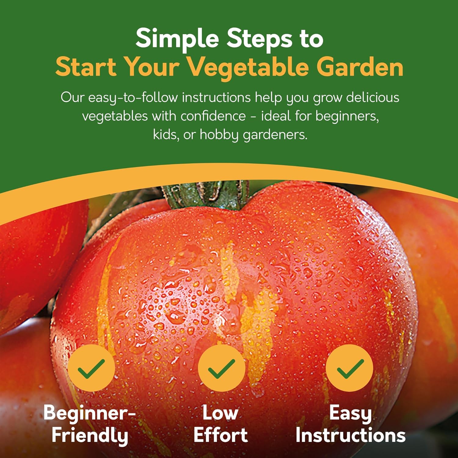 Grow Your Own Vegetable Kit – 5 Seed Varieties | Vegetable Grow Kit