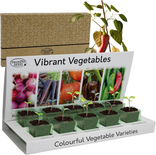 Grow Your Own Vegetable Kit – 5 Seed Varieties | Vegetable Grow Kit