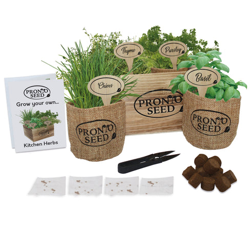 Herb kit, Premium Herb Growing Set, Grow 4 Most Popular Varieties from Seed in Reusable Wooden Box