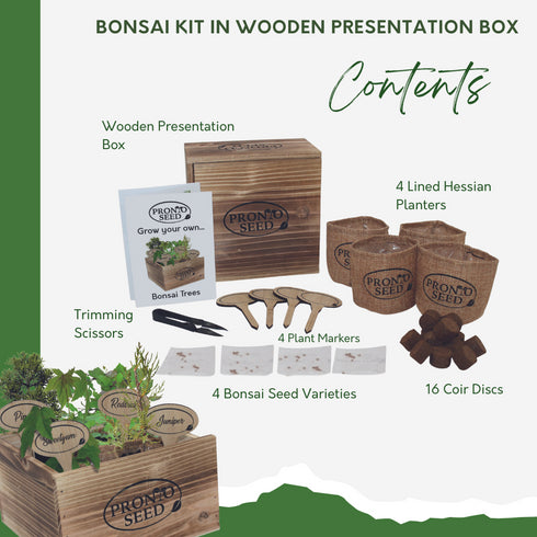 Bonsai kit, Bonsai Tree Growing kit, Premium Bonsai Set, Grow 4 Most Popular Varieties from Seed in Reusable Wooden Box