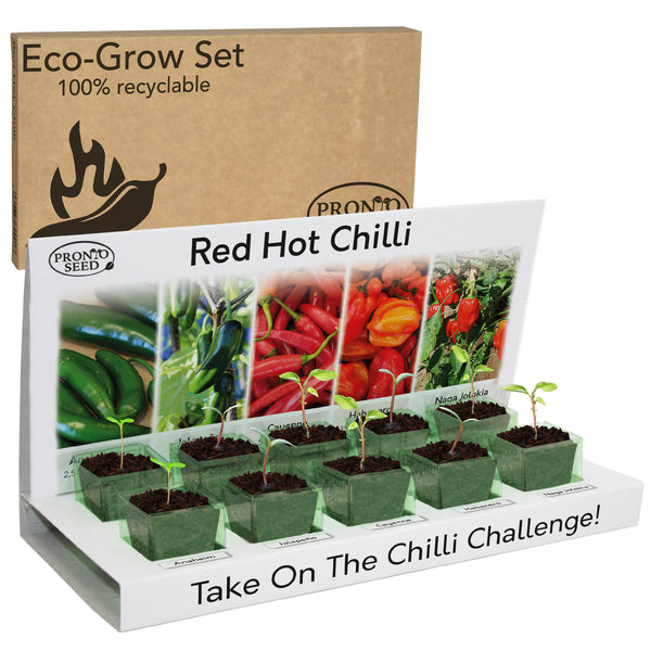 Red Hot Chilli - Grow Your Own Chillies