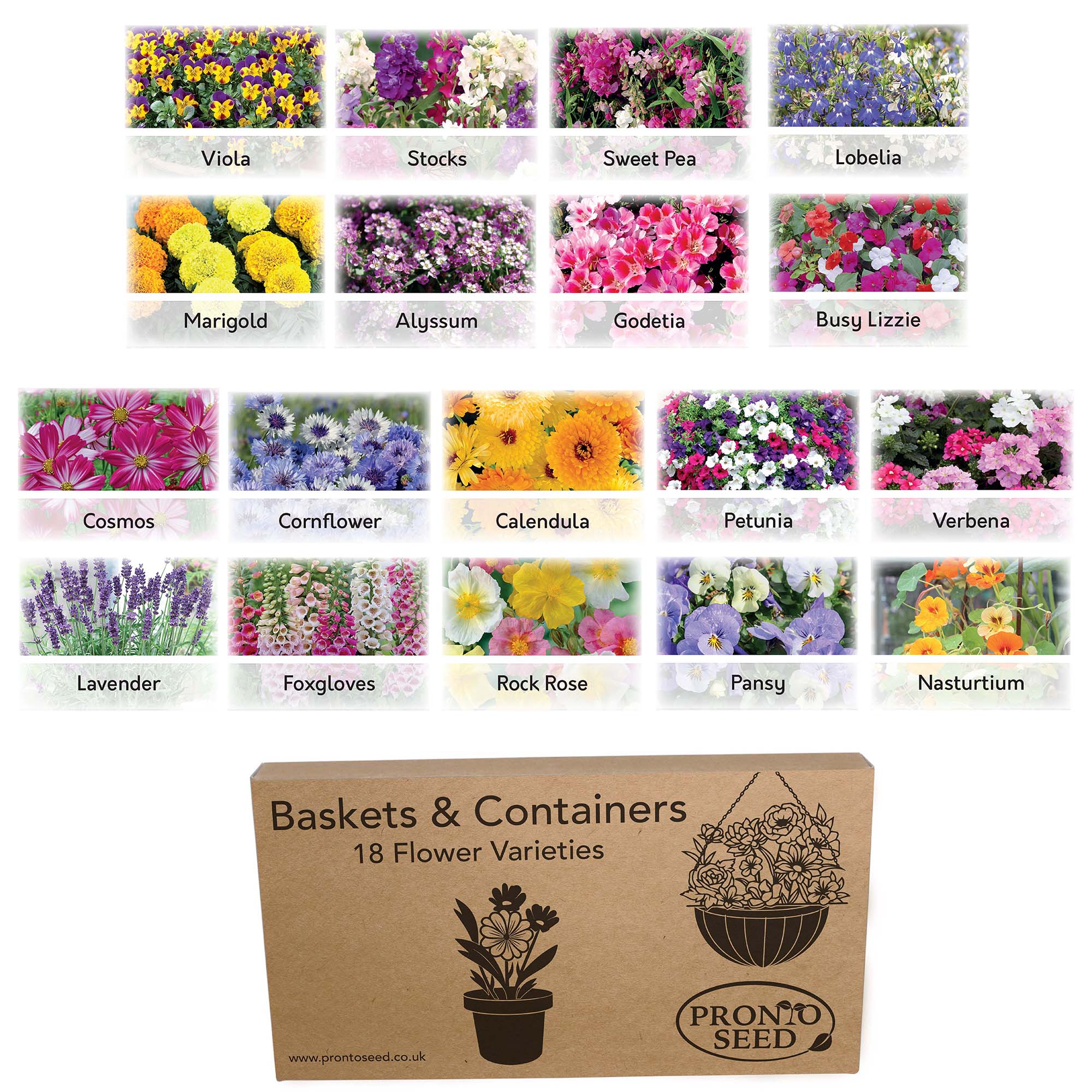 Flower Seeds – 14 Varieties, 1,400+ Seeds for Baskets & Pots