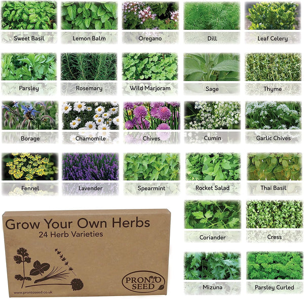 Herb Seeds – 24 Varieties, 2,900+ Seeds