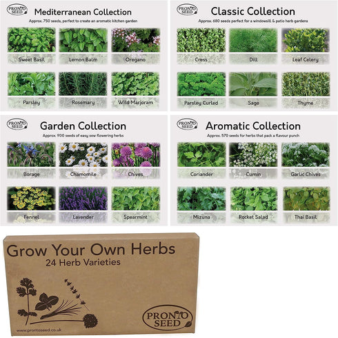 Herb Seeds Pack