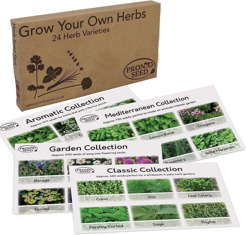 Herb Seeds Pack