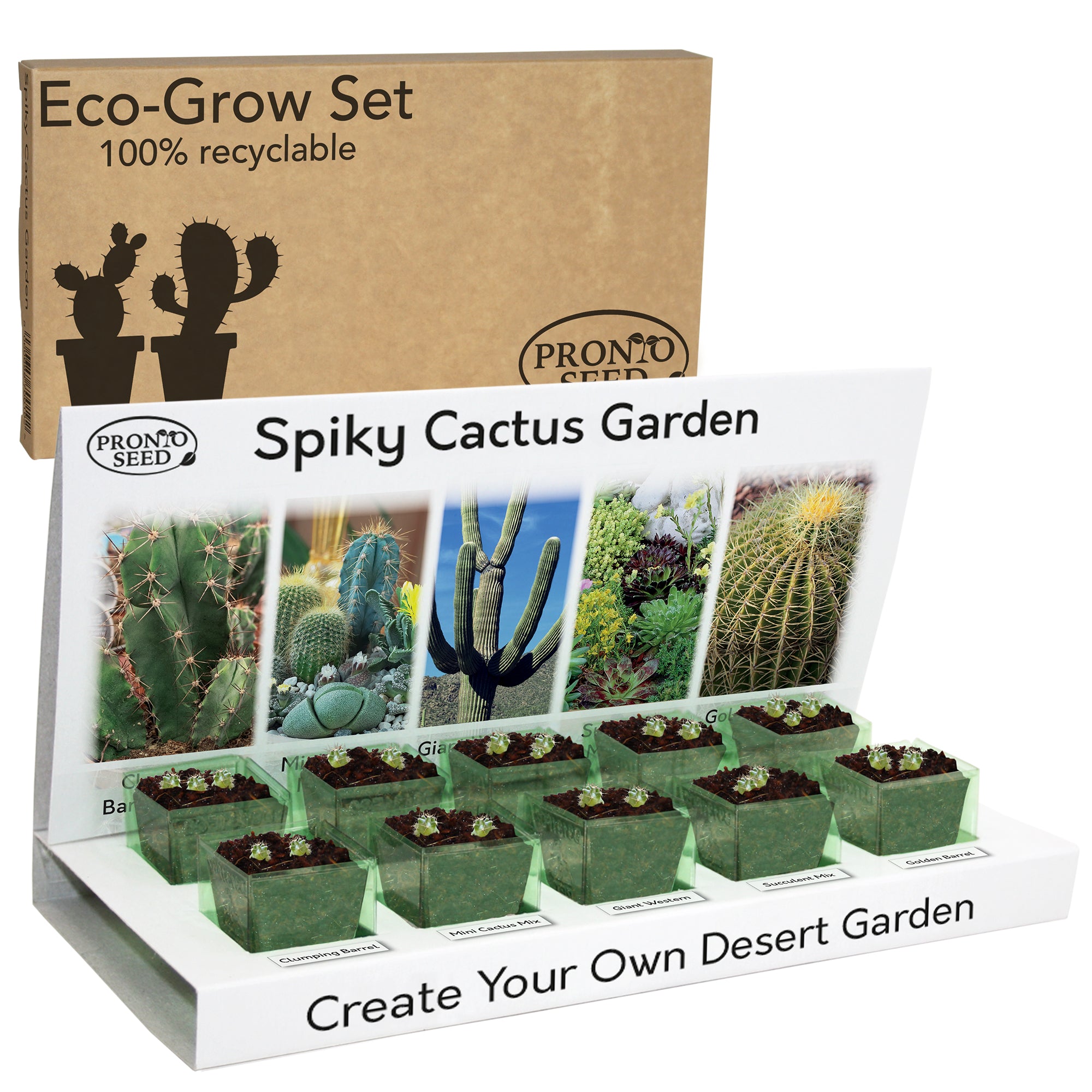 Grow Your Own Cactus Kit – 5 Seed Varieties | Spiky Cactus Grow Kit