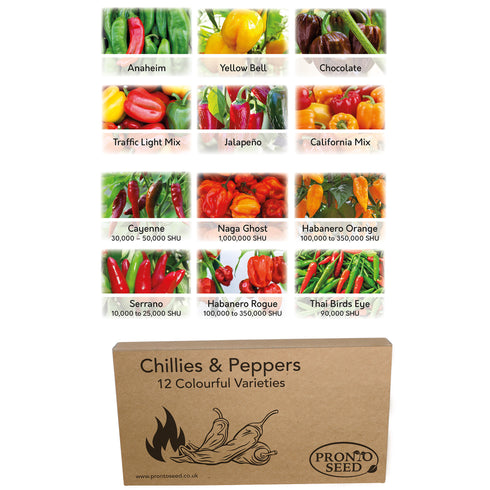 Chilli & Pepper Seeds Collection 12 Varieties