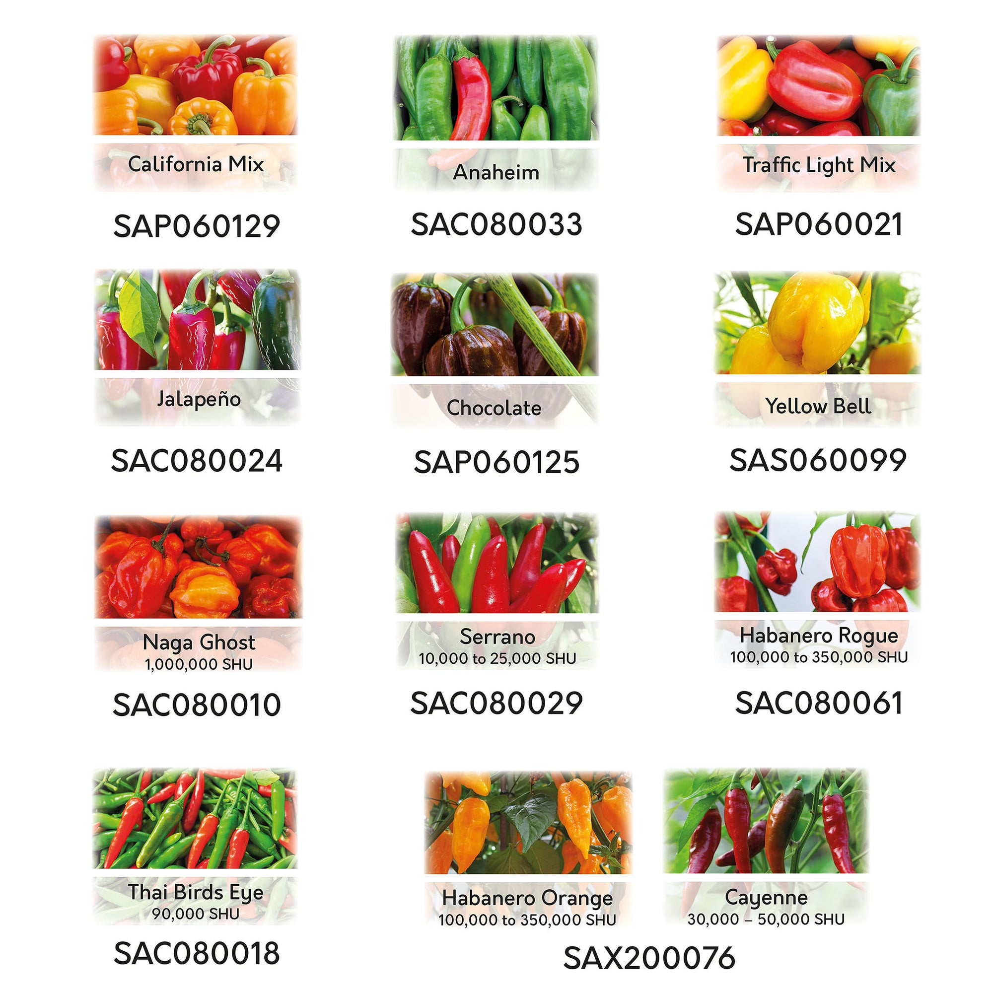Chilli Pepper Seeds – 12 Varieties, 117+ Seeds | Pronto Seed