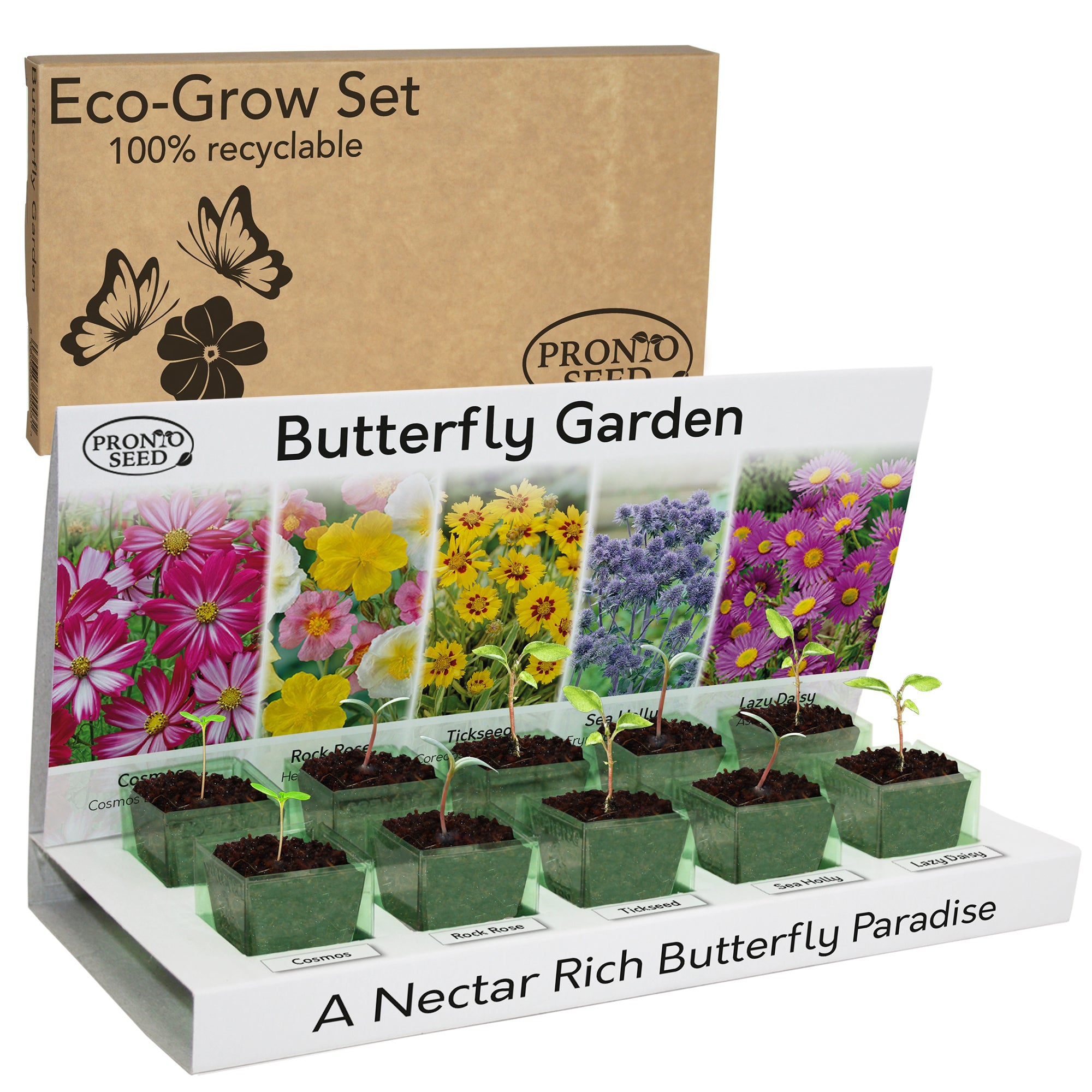 Grow Your Own Flowers Kit – 5 Seed Varieties | Butterfly Garden Grow Kit