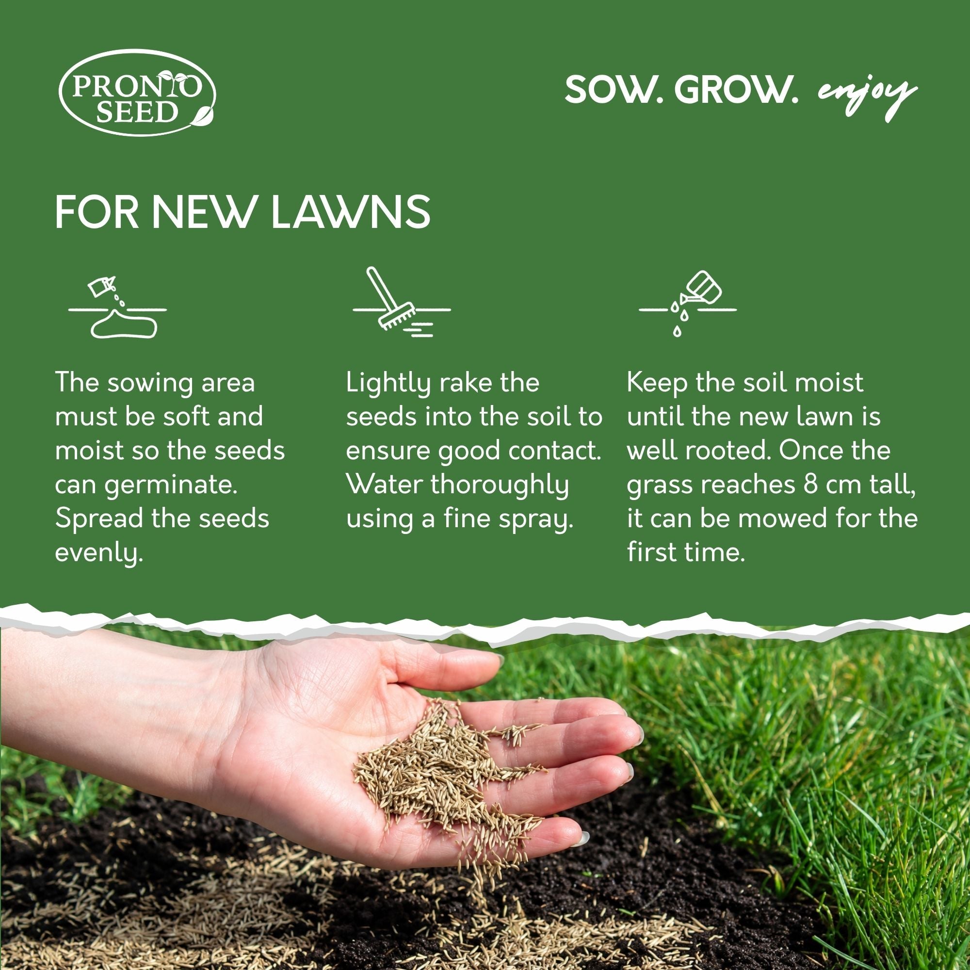 Promotional lawn seeding graphic with a green header reading 'FOR NEW LAWNS' and 'PRONTO SEED', illustrated steps for sowing, and a hand holding loose grass seeds above a freshly seeded lawn.