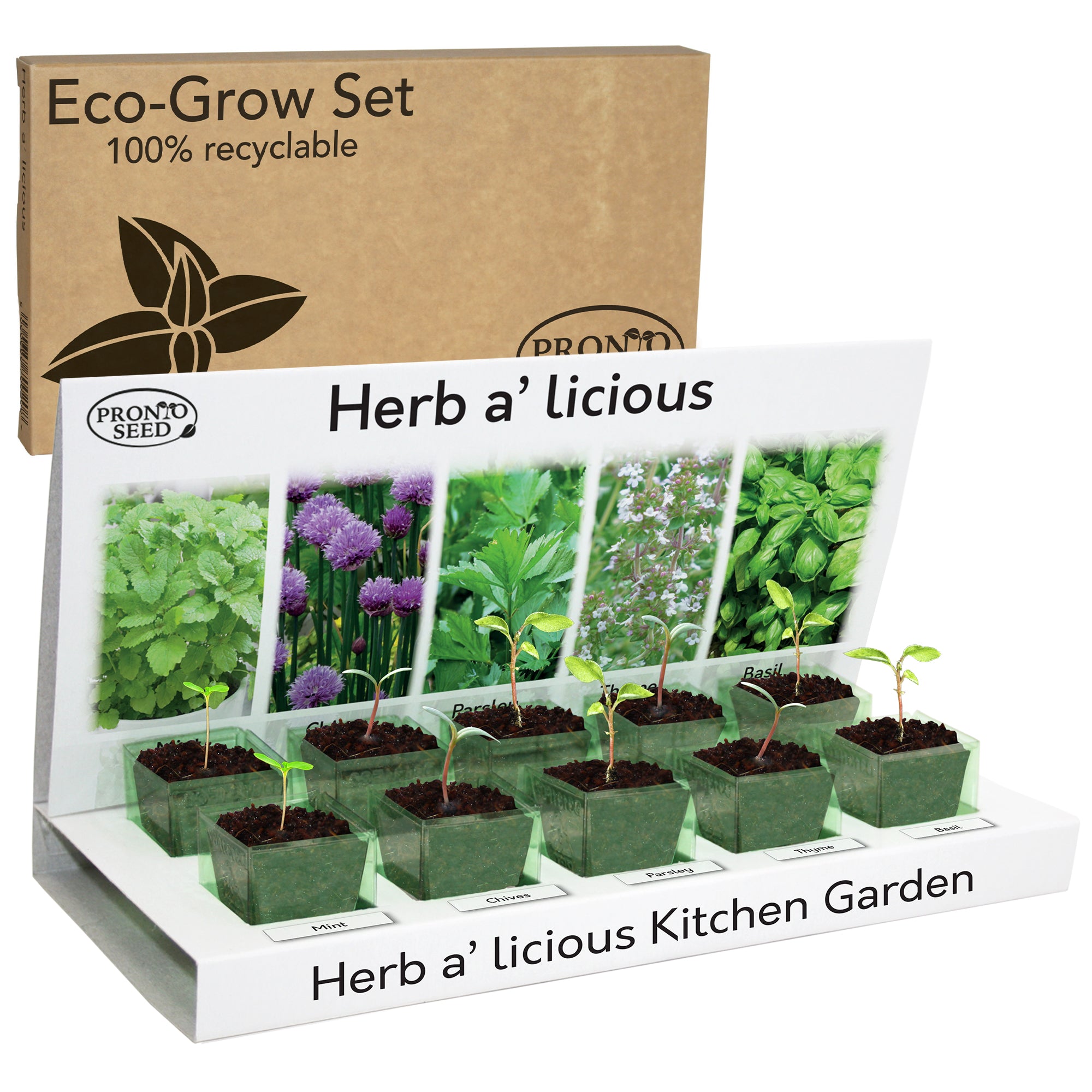 Grow Your Own Herbs Kit – 5 Seed Varieties | Kitchen Herb Grow Kit