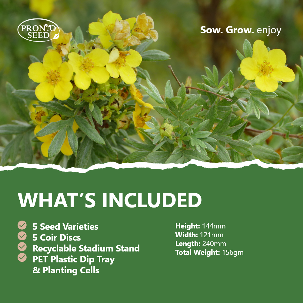 Grow Your Own Flowers Kit – 5 Seed Varieties | Butterfly Garden Grow Kit