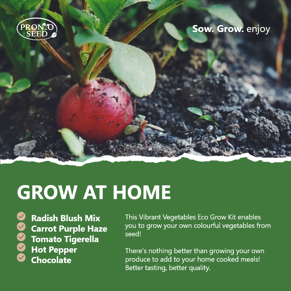 Infographic showing the varieties of vegetable seeds in the Pronto Seed eco grow at home kit
