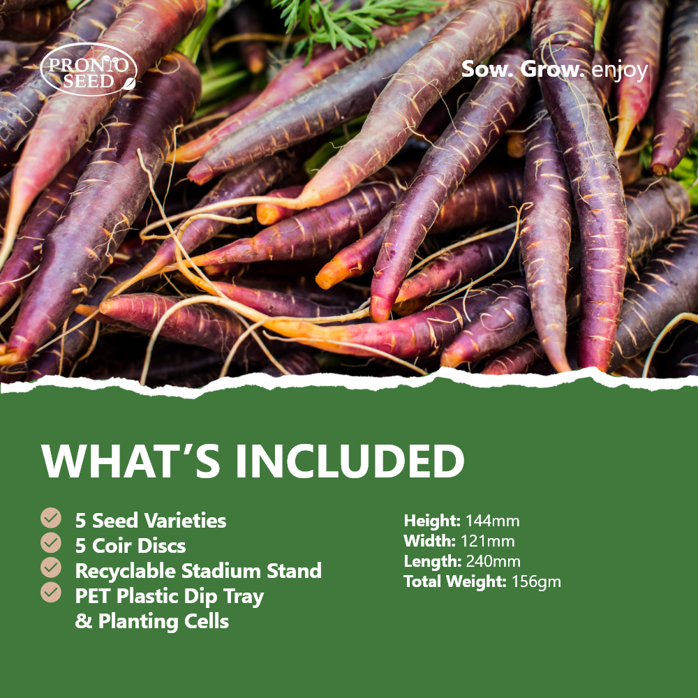 Grow Your Own Vegetable Kit – 5 Seed Varieties | Vegetable Grow Kit