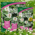 White Clover Seed - Eco-Friendly, Flowering Lawn Seed