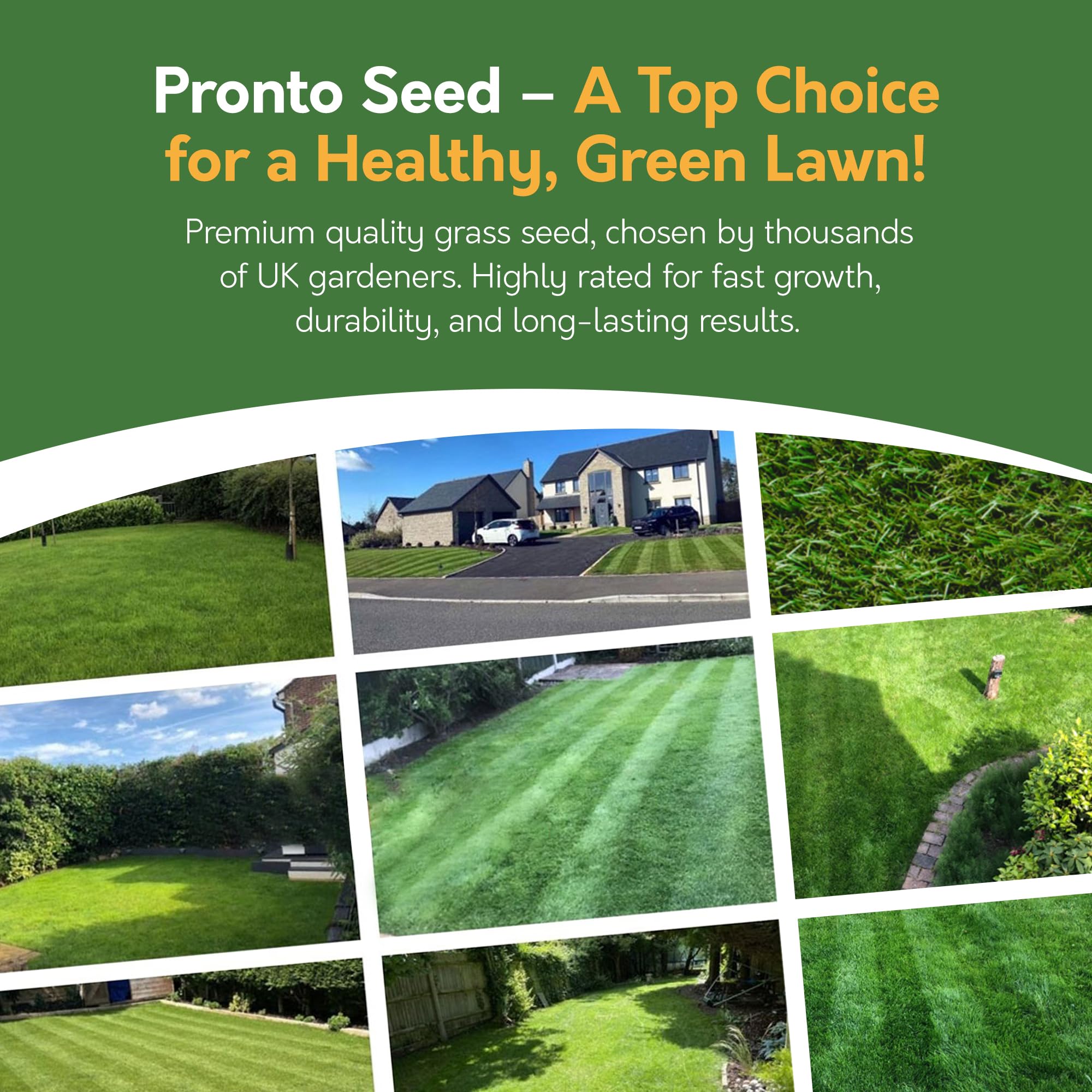 Advertisement for Pronto Seed grass seed with images of green lawns and text about its quality and benefits.