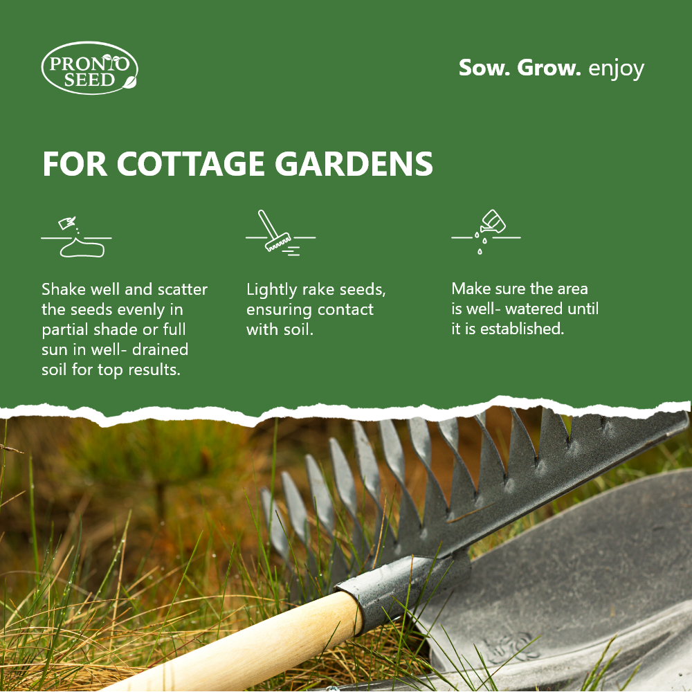 Cottage Garden Wildflower Seed Shaker – Covers 25m²
