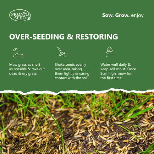 Fast Growing Speedy Grass Seed 1.4kg Covers 84m2