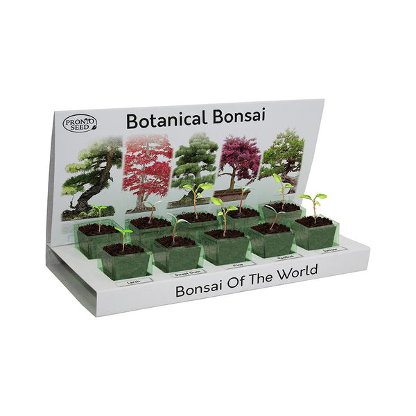 Botanical Bonsai - Grow Your Own Bonsai