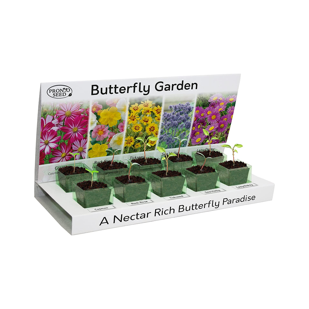 The Pronto Seed Butterfly Garden grow at home kit