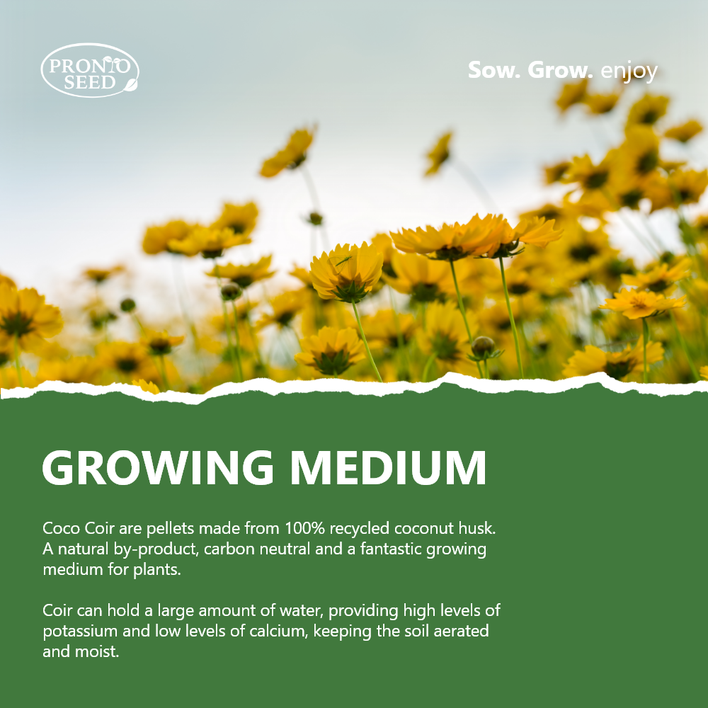 Grow Your Own Flowers Kit – 5 Seed Varieties | Butterfly Garden Grow Kit
