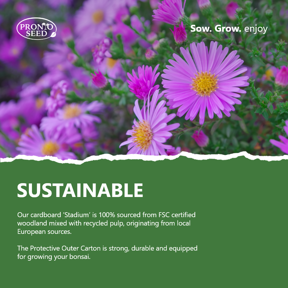 Grow Your Own Flowers Kit – 5 Seed Varieties | Butterfly Garden Grow Kit