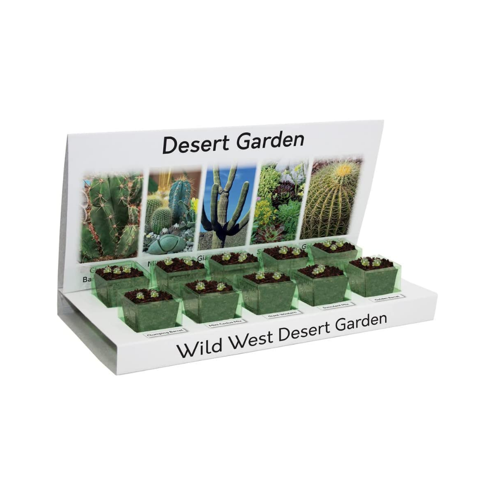 Pronto Seed Desert garden cactus growing kit showing the cacti growing in their pots