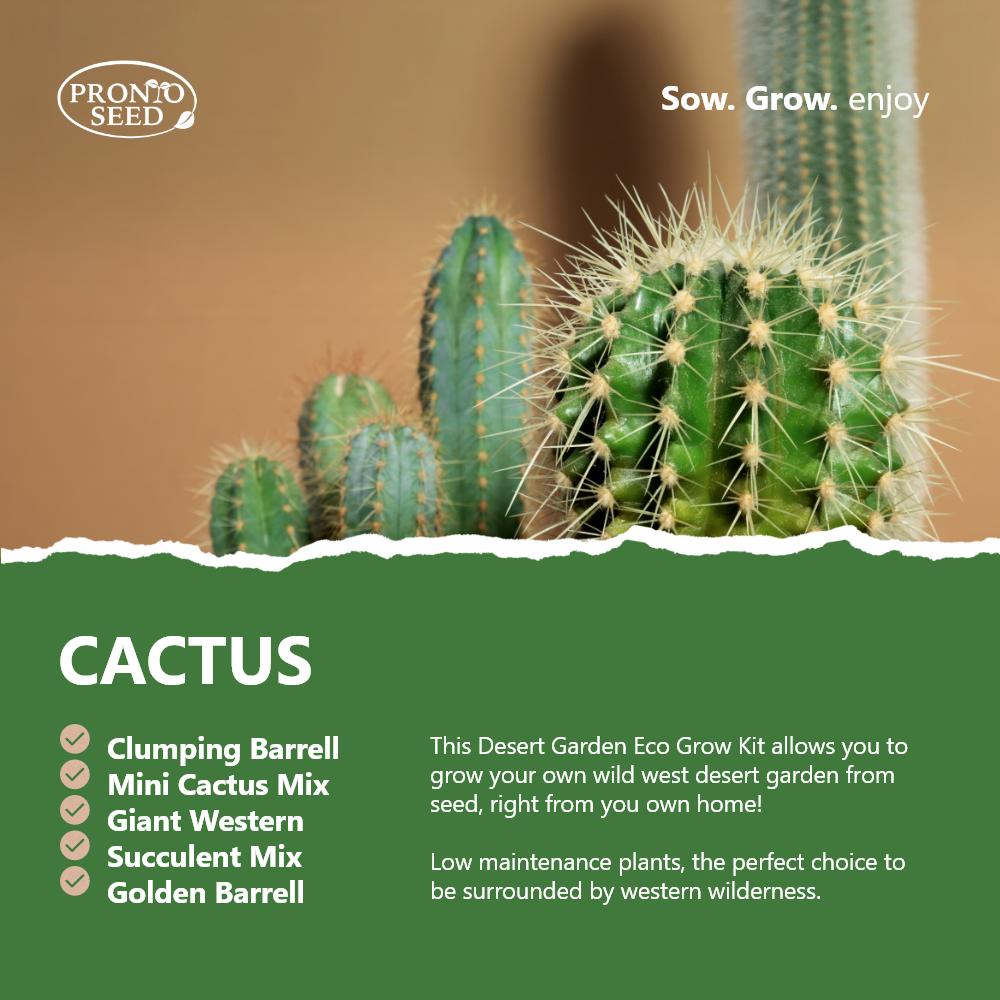 Infographic showing the different varieties of cactus in the desert garden stadium kit from Pronto Seed